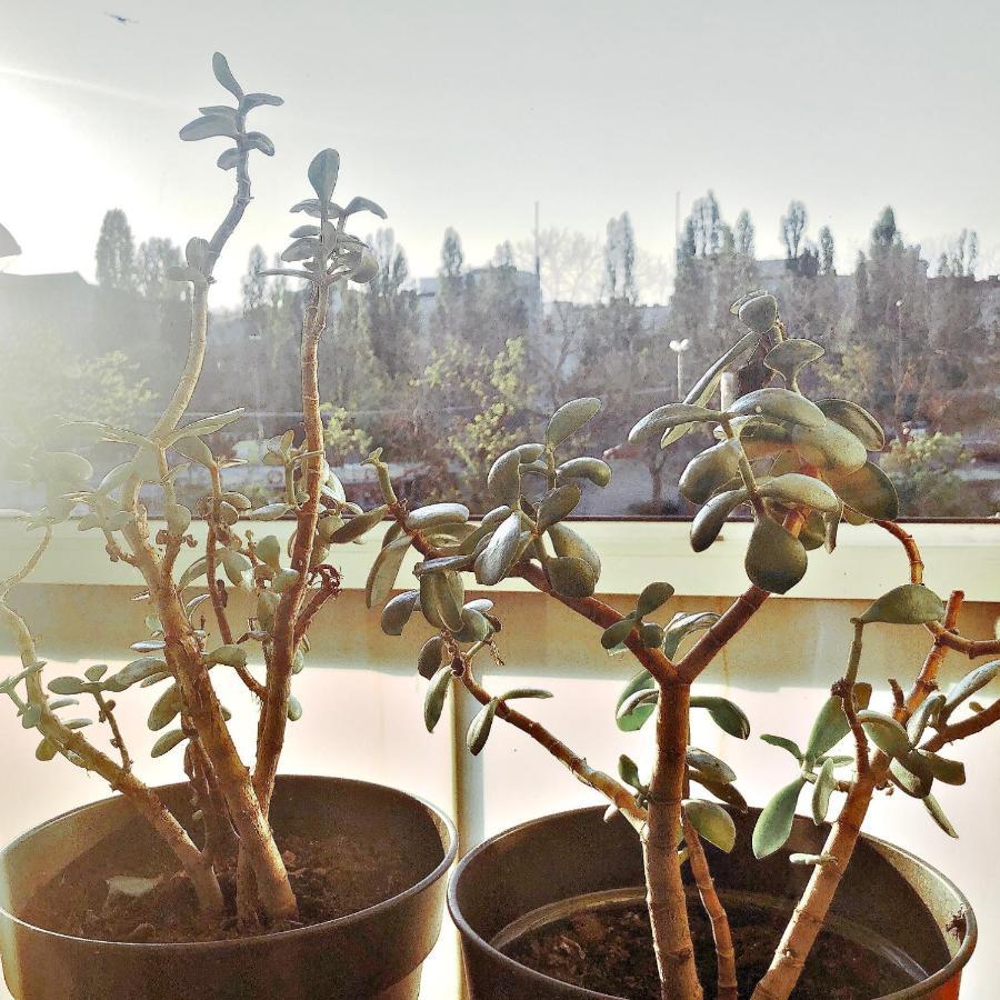 Modern New Danube Apartment, Perfect Location * Wien